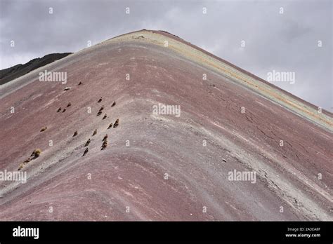 The Natural Colors Of The Vinicuna Rainbow Mountain Cordillera