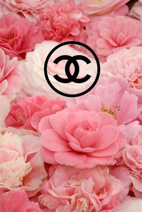 Awasome Chanel Pink Wallpaper Ideas