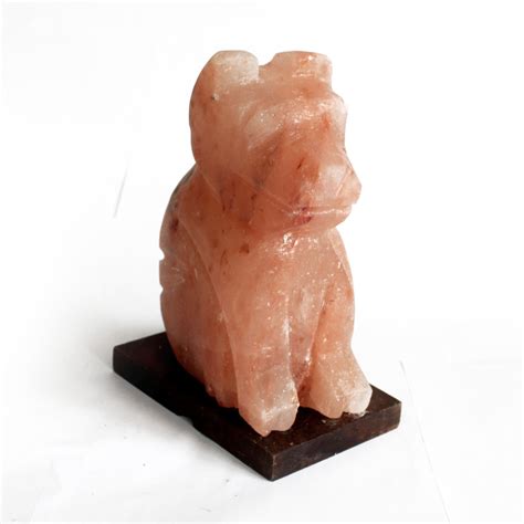 Do domestic cats lick table salt from a table conclusion: Animal salt lamps - Dog - Ancient Wisdom - Wholesale ...