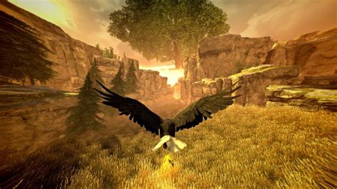 Assassins Creed 3 Eagle Flight Gameplay Walkthrough Pc Youtube