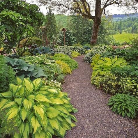 40 Beautiful Garden Path And Walkways Inspirations Hosta Gardens