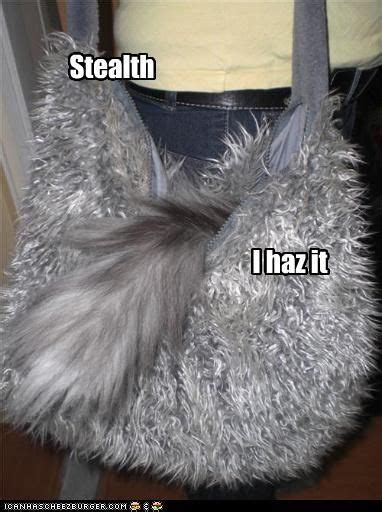 Stealth Cheer Me Up Stealth Cat Memes Amusing Craft Room I Laughed