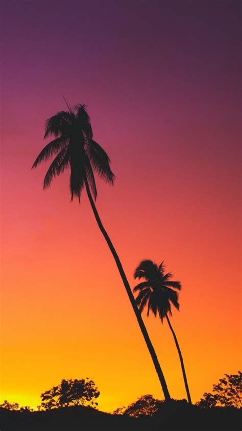 Palms Sunset Silhouettes Wallpaper 1080x1920