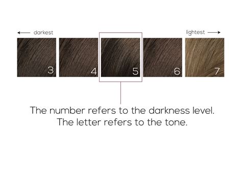 Top 100 Image Hair Color Level Chart Vn