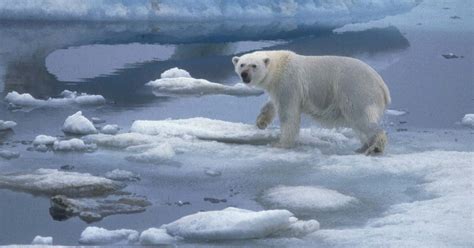 How fast is the Earth's climate actually changing?