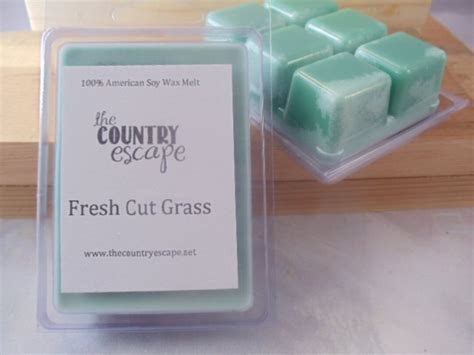 Fresh Cut Grass Scented 100 Soy Wax Clamshell Melt Pleasant Etsy Uk