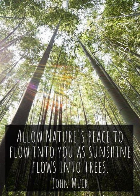 Cool Quotes About Peace And Nature Ideas Pangkalan