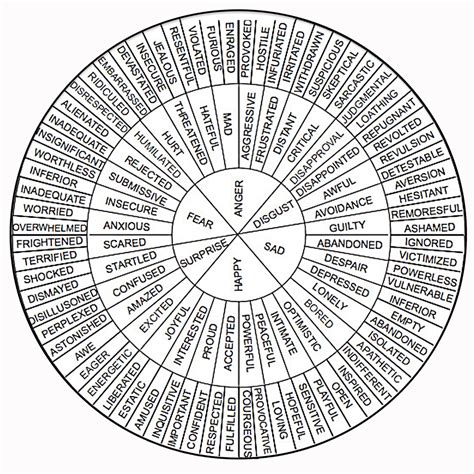 Emotions Wheel Roda Das Emoções Diagram Quizlet