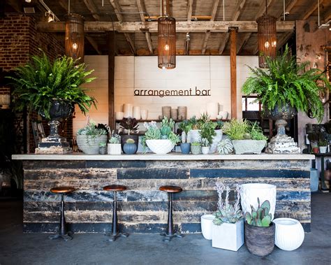 Light watering every few days will likely keep this plant content, and because it doesn't like full sunlight, it can grow in many. The Most Beautiful Garden Shops in Los Angeles Photos ...