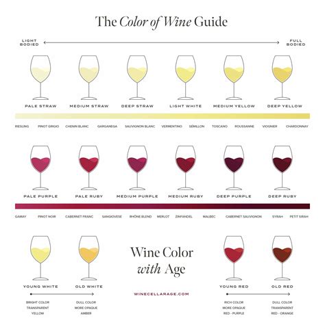 A Guide To The Color Of Wine And What It Can Tell You The Wine Cellarage