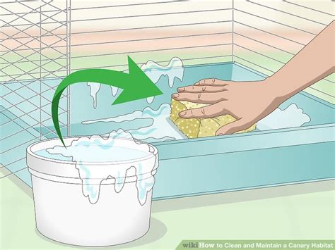3 Ways To Clean And Maintain A Canary Habitat Wikihow Pet