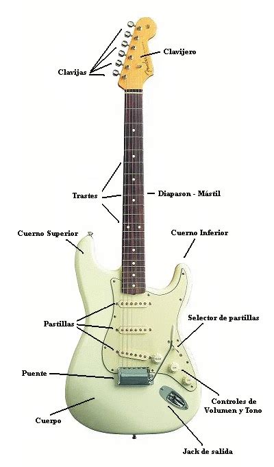 Partes De La Guitarra Eléctrica Carlos Saura