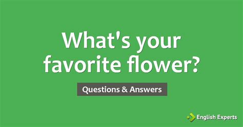 Whats Your Favorite Flower English Experts
