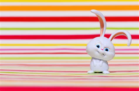 Snowball Rabbit Wallpapers Wallpaper Cave