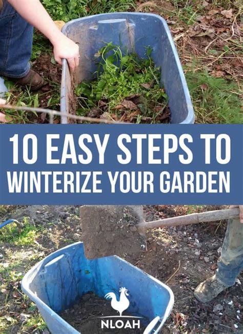 10 Easy Steps To Winterize Your Garden New Life On A Homestead