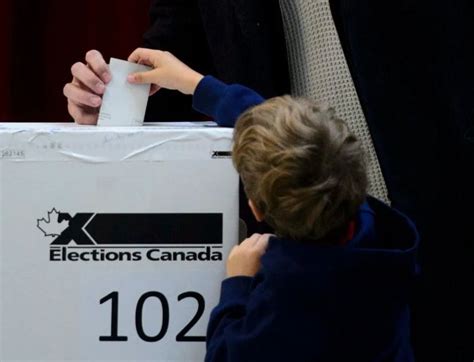 Get the latest numbers and analysis about where canada's political parties stand from éric grenier. Elections Canada probing thousands of 2019 election ...