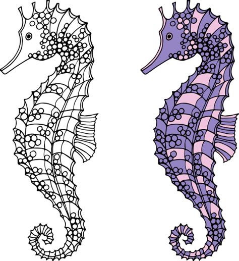 The seahorse's peculiar appearance often leads people to think that it is some kind of invertebrate, but both the seahorse and its relative, the seadragon, are fish. Seahorses Coloring Page - KidsPressMagazine.com