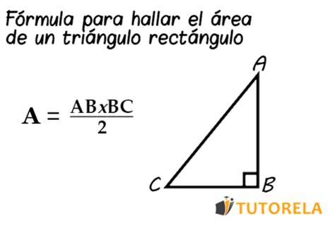 Calcular Perimetro Y Area De Un Triangulo Rectangulo Printable