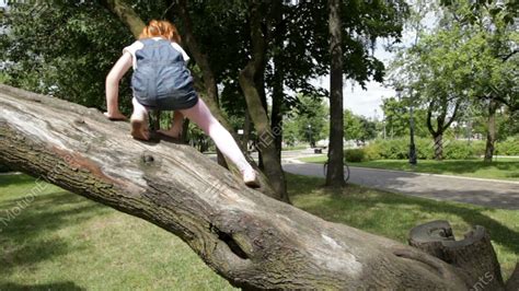 Little Girl Is Climbing Down A Tree Stock Video Footage 11021872