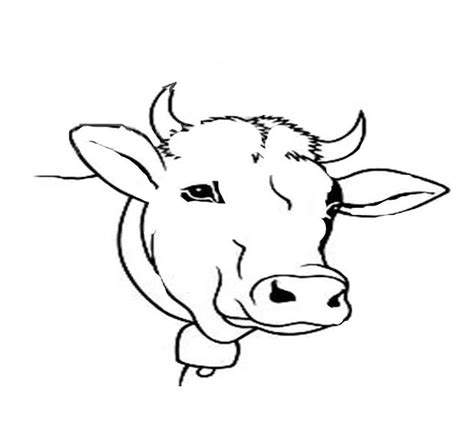 Cow Head Coloring Page At Free Printable Colorings