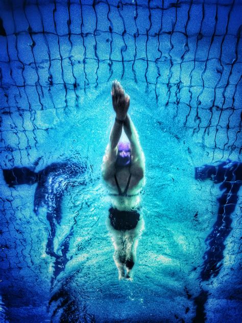 Banco de imagens azul natação embaixo da agua nadador Natação estilo livre Diversão