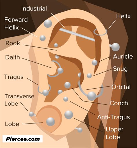 Different Ear Piercing Locations