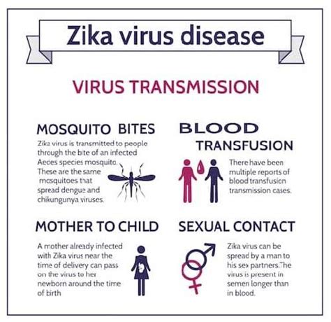 Zika Virus Disease Symptoms Complications And Treatment
