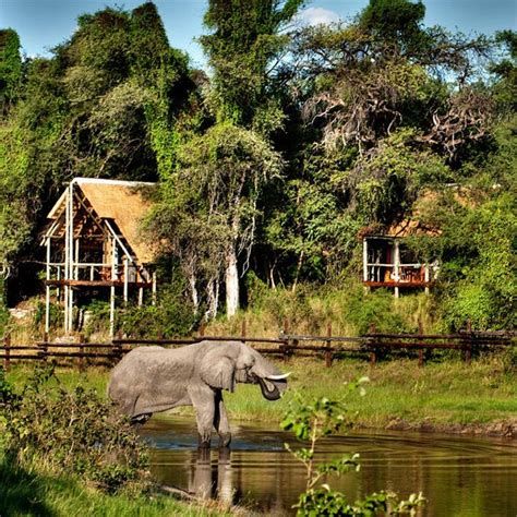 Chobe National Park For An Authentic Luxury Safari Botswana