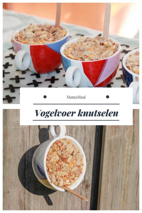 Vogelvoer In Een Kopje Knutselen Met Kinderen Creatief Met Peuters