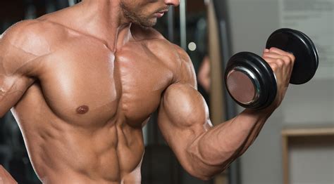 The Big Biceps Workout Muscle And Fitness