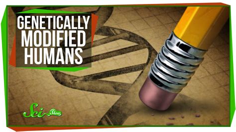 The Science Behind Genetically Modified Humans Videos