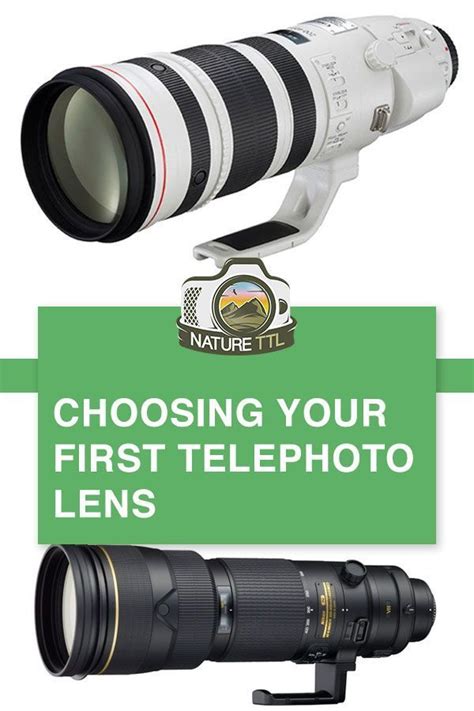 Choosing Your First Telephoto Lens Wildlife Photography Camera Best