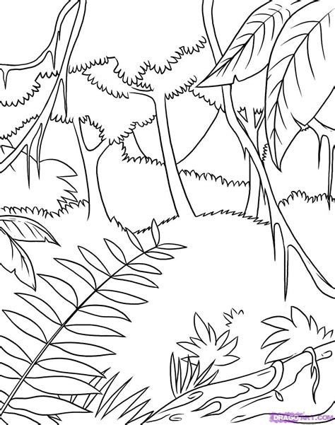 Check spelling or type a new query. rainforest coloring pictures - Google Search | Rainforest coloring pages, Jungle drawing, Jungle ...