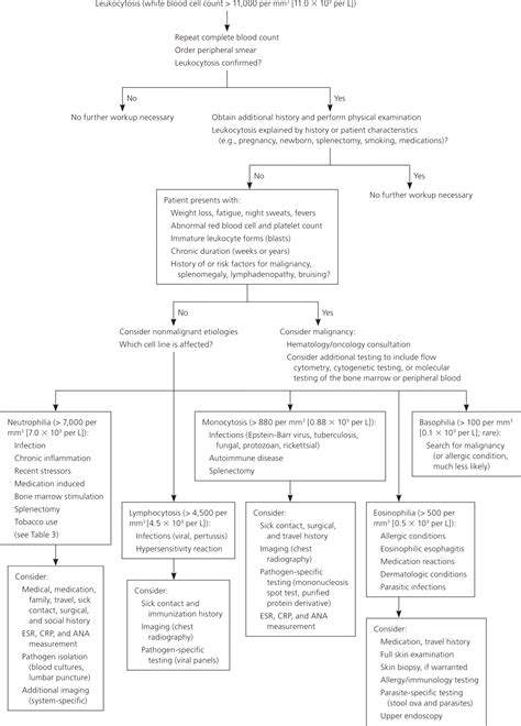 Evaluation Of Patients With Leukocytosis Aafp