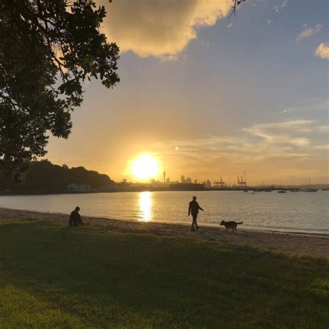 Mission Bay Beach Auckland Central All You Need To Know Before You Go