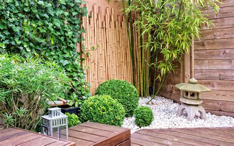 10 Bamboo Landscaping Ideas Garden Lovers Club