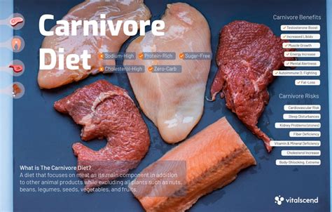 The Carnivore Diet Best Foods To Eat And Avoid Vitalscend