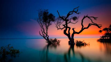 Nature Landscape Beach Coast Trees Forest Boat People Sand