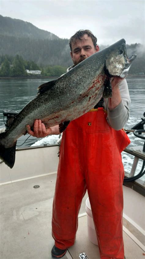 King Salmon Fishing In Ketchikan Alaska Fishing Passion