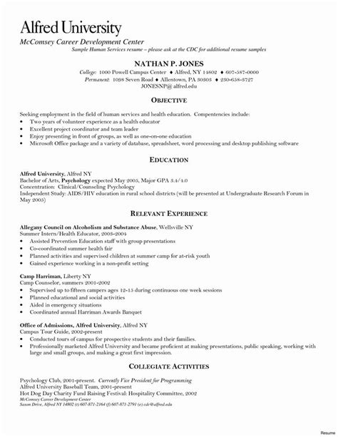 Senior internal auditor cv sample. it auditor resume sample in 2020 (With images) | Resume, Manager resume, Resume examples