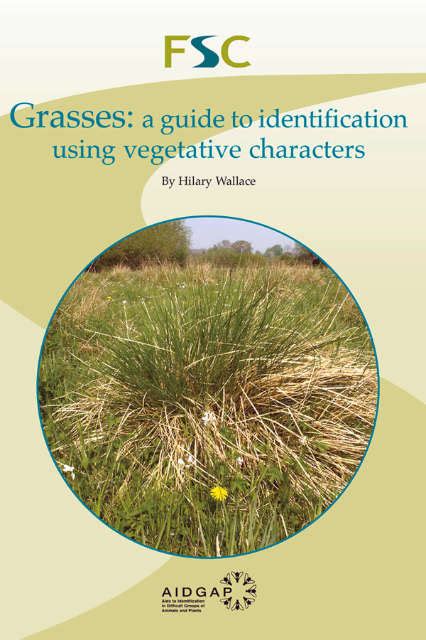 New Guide To Identification Of Grasses Naturespot