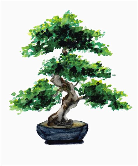 Japanese Watercolor Bonsai Tree