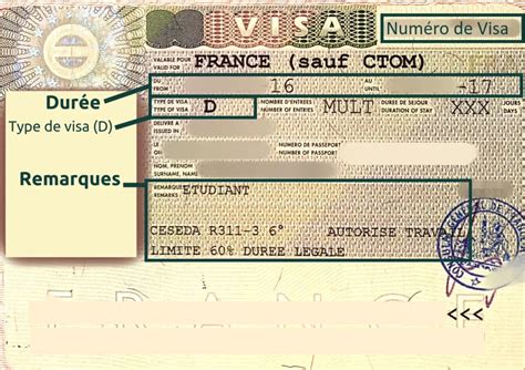 Larrivée En France Avec Un Visa Long Séjour Adeline Paradeise