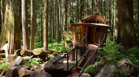Enchanted Forest In British Columbia Expedia