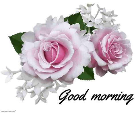 They have such a power to brighten our day and the day of our friends when we stumble upon them while scrolling our news feed! 150+ Beautiful Good Morning Images [ Best Collection ...
