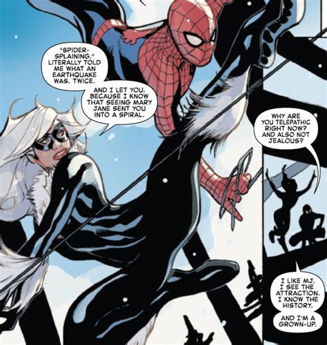 Black Cat Spiderman Comic