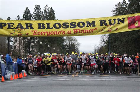 Pear Blossom Run April 8th 2023 Race Results Leaderboard My Best