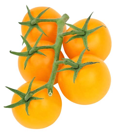 Yellow Tomato Png Image Purepng Free Transparent Cc0 Png Image Library