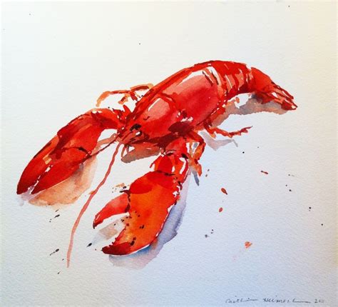 Lobster Lobster Art Watercolor Fish Lobster Drawing