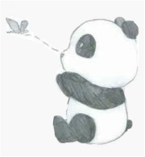 Pandas Drawing
